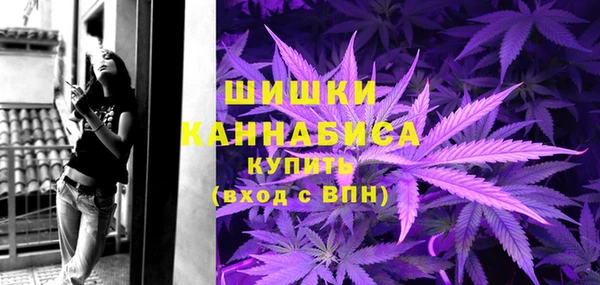 спайс Арсеньев