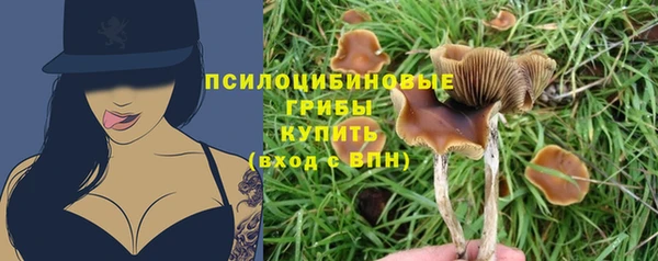 а пвп мука Аркадак