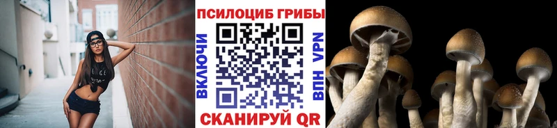Псилоцибиновые грибы прущие грибы  Чернушка 